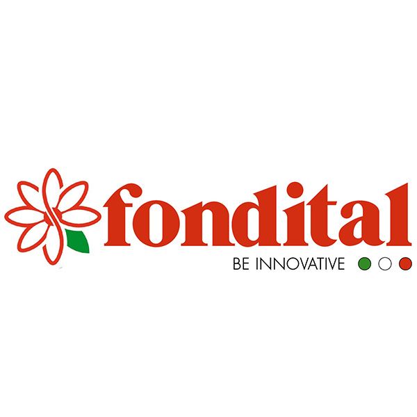 Программа Лига Fondital